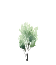 an icon of a watercolour sapling